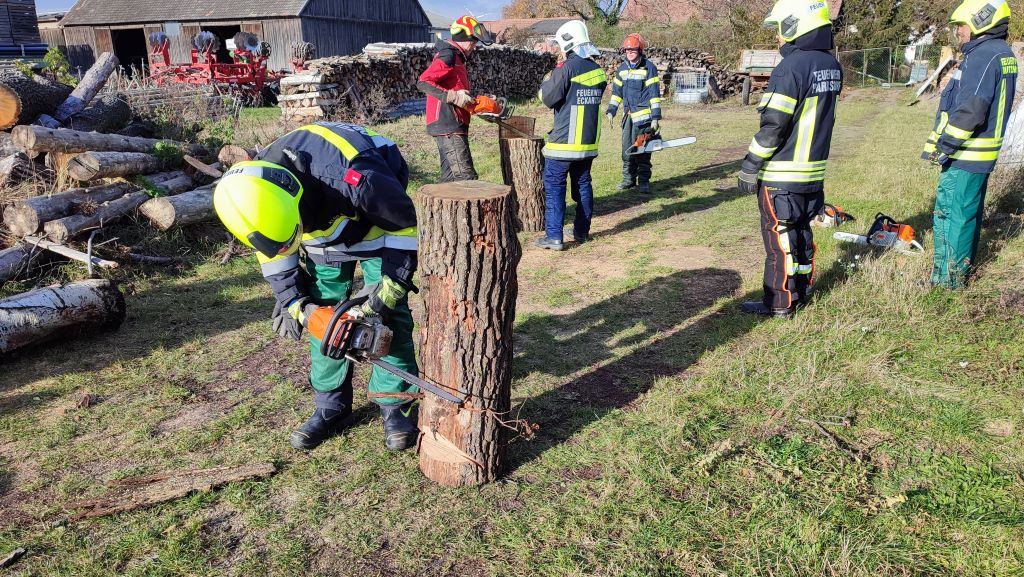 IMG 20231125 112132 verkl