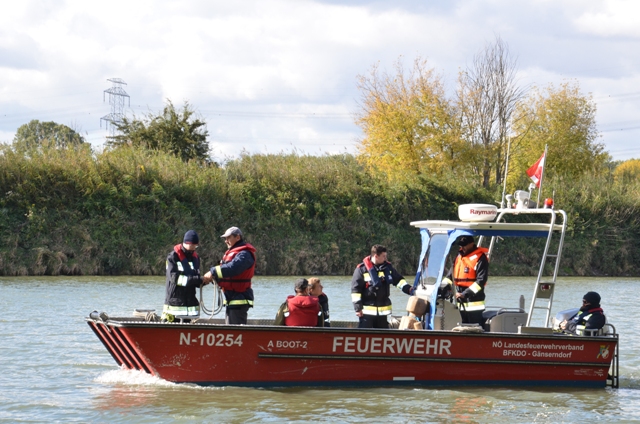 Foto Abrudern in Mannsdorf 2017 Bild 10 klein