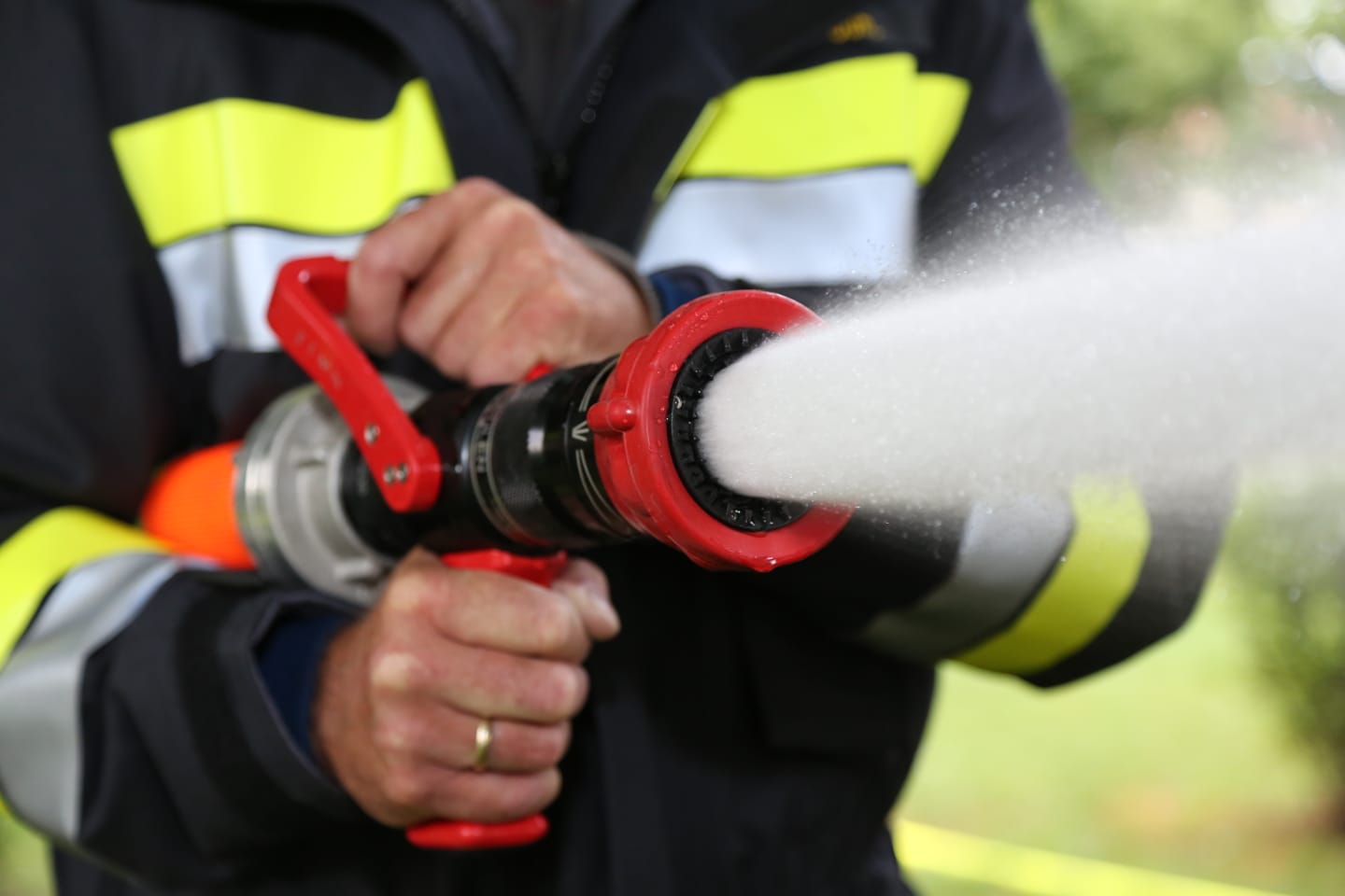 Foto 03.11.18 11 49 56